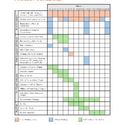 Project Schedule thumbnail icon